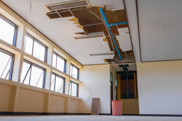 Best Water damage restoration cost  in Brentwood, CA