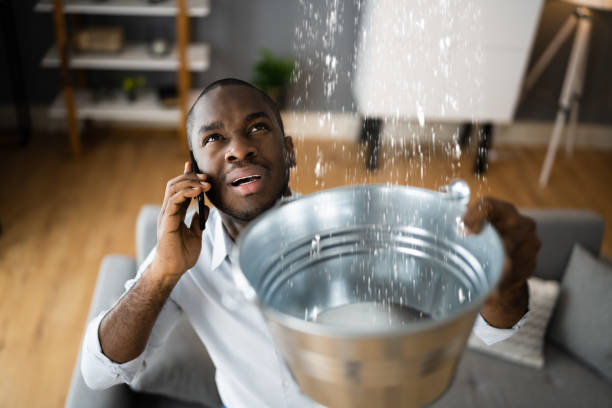 Best Flood damage cleanup  in Brentwood, CA