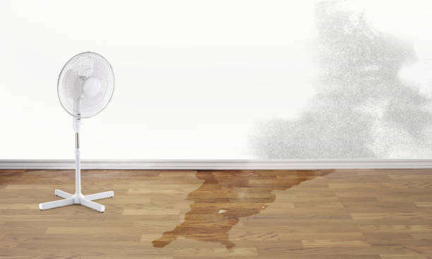 Best Flooded house restoration  in Brentwood, CA