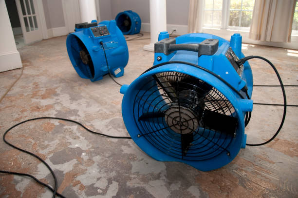 Best Flood restoration services  in Brentwood, CA