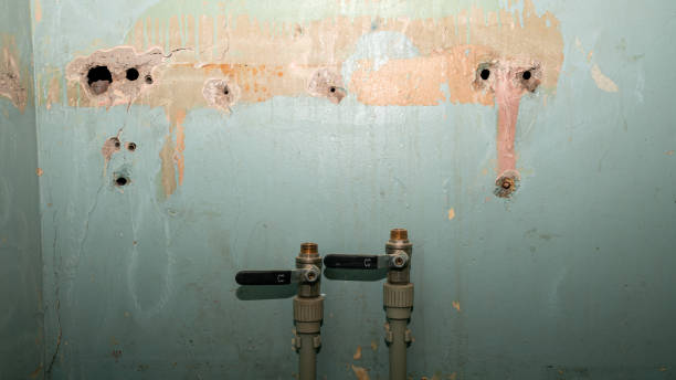 Best Fire Damage Restoration  in Brentwood, CA