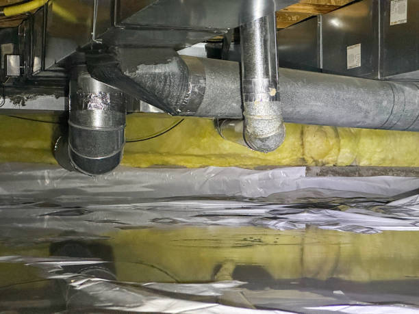 Best Water damage restoration near me  in Brentwood, CA