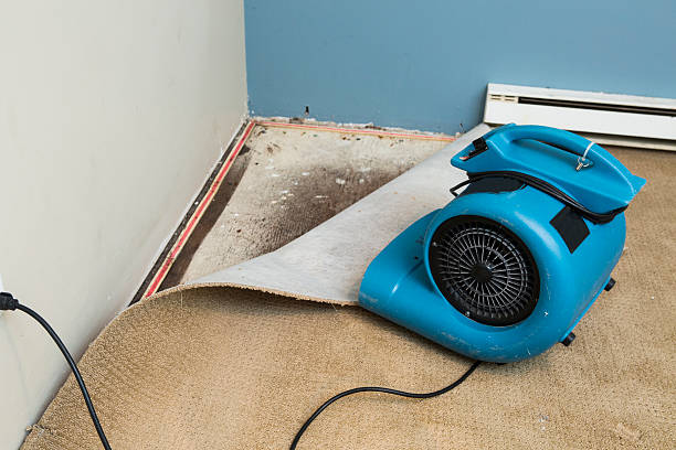 Best Professional water damage repair  in Brentwood, CA
